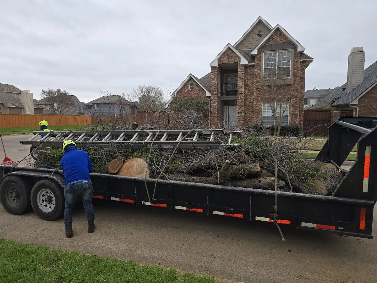 Expert Tree Pest Control with proper safety equipment in New Underwood